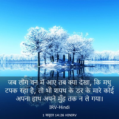 Picture 03 - 1 शमूएल 14:26 HINIRV - जब लोग वन में आए तब - Bible Verse Picture