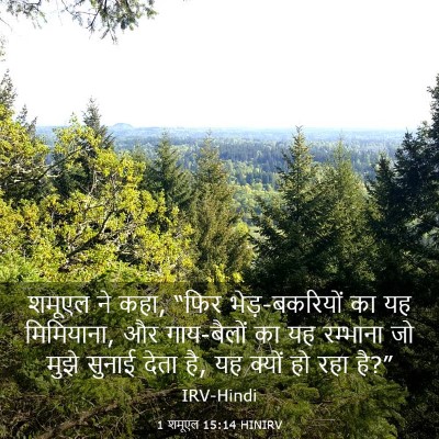 Picture 03 - 1 शमूएल 15:14 HINIRV - शमूएल ने कहा, “फिर - Bible Verse Picture