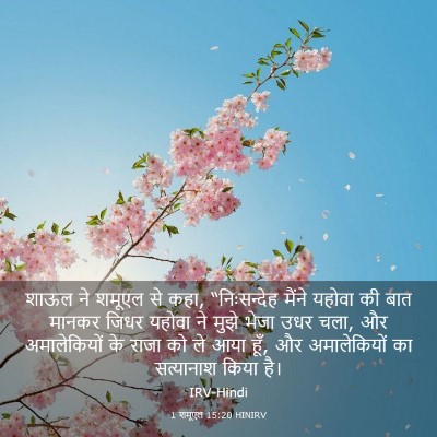 Picture 03 - 1 शमूएल 15:20 HINIRV - शाऊल ने शमूएल से - Bible Verse Picture