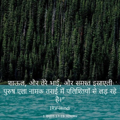 Picture 03 - 1 शमूएल 17:19 HINIRV - शाऊल, और तेरे भाई, - Bible Verse Picture