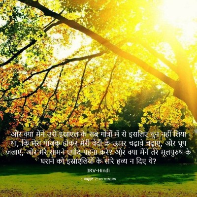 Picture 03 - 1 शमूएल 2:28 HINIRV - और क्या मैंने उसे - Bible Verse Picture