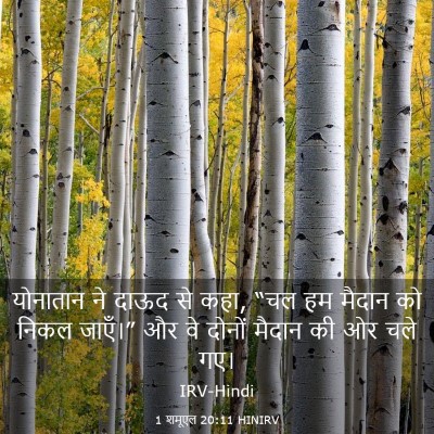 Picture 03 - 1 शमूएल 20:11 HINIRV - योनातान ने दाऊद से - Bible Verse Picture