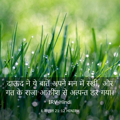 Picture 03 - 1 शमूएल 21:12 HINIRV - दाऊद ने ये बातें - Bible Verse Picture