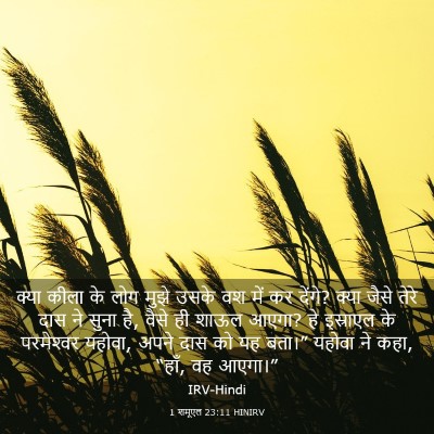 Picture 03 - 1 शमूएल 23:11 HINIRV - क्या कीला के लोग - Bible Verse Picture