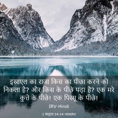 Picture 03 - 1 शमूएल 24:14 HINIRV - इस्राएल का राजा - Bible Verse Picture
