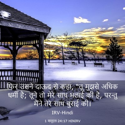 Picture 03 - 1 शमूएल 24:17 HINIRV - फिर उसने दाऊद से - Bible Verse Picture