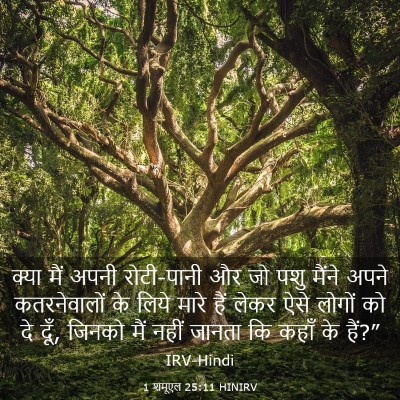 Picture 03 - 1 शमूएल 25:11 HINIRV - क्या मैं अपनी - Bible Verse Picture