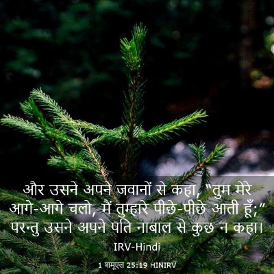 Picture 03 - 1 शमूएल 25:19 HINIRV - और उसने अपने - Bible Verse Picture