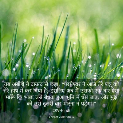 Picture 03 - 1 शमूएल 26:8 HINIRV - तब अबीशै ने दाऊद से - Bible Verse Picture