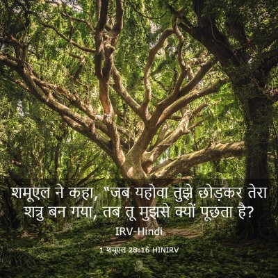 Picture 03 - 1 शमूएल 28:16 HINIRV - शमूएल ने कहा, “जब - Bible Verse Picture