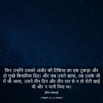 Picture 03 - 1 शमूएल 30:12 HINIRV - फिर उन्होंने उसको - Bible Verse Picture