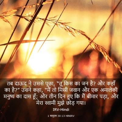 Picture 03 - 1 शमूएल 30:13 HINIRV - तब दाऊद ने उससे - Bible Verse Picture