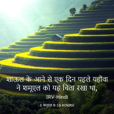 Picture 03 - 1 शमूएल 9:15 HINIRV - शाऊल के आने से एक - Bible Verse Picture