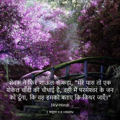 Picture 03 - 1 शमूएल 9:8 HINIRV - सेवक ने फिर शाऊल से - Bible Verse Picture