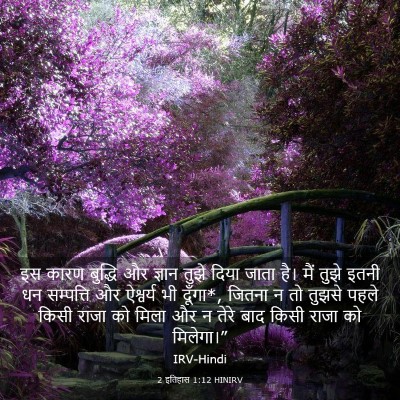 Picture 03 - 2 इतिहास 1:12 HINIRV - इस कारण बुद्धि और - Bible Verse Picture
