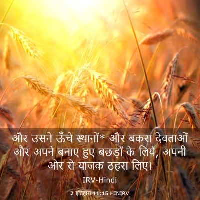 Picture 03 - 2 इतिहास 11:15 HINIRV - और उसने ऊँचे - Bible Verse Picture