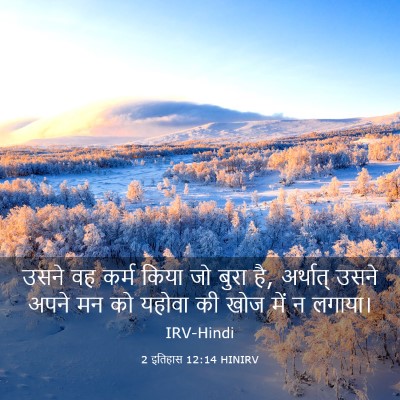 Picture 03 - 2 इतिहास 12:14 HINIRV - उसने वह कर्म किया - Bible Verse Picture