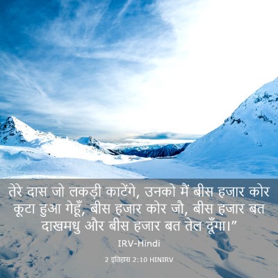 Picture 03 - 2 इतिहास 2:10 HINIRV - तेरे दास जो लकड़ी - Bible Verse Picture