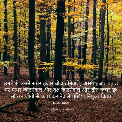 Picture 03 - 2 इतिहास 2:18 HINIRV - उनमें से उसने - Bible Verse Picture