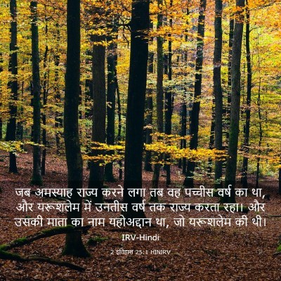 Picture 03 - 2 इतिहास 25:1 HINIRV - जब अमस्याह राज्य - Bible Verse Picture