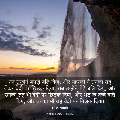 Picture 03 - 2 इतिहास 29:22 HINIRV - तब उन्होंने बछड़े - Bible Verse Picture