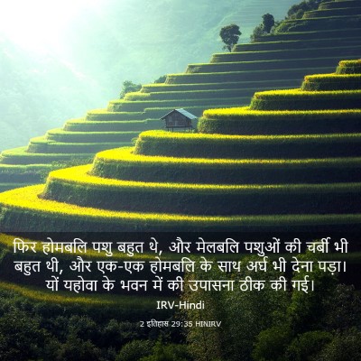Picture 03 - 2 इतिहास 29:35 HINIRV - फिर होमबलि पशु - Bible Verse Picture