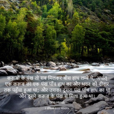 Picture 03 - 2 इतिहास 3:11 HINIRV - करूबों के पंख तो सब - Bible Verse Picture