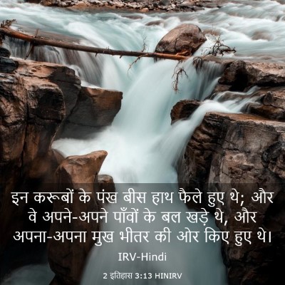 Picture 03 - 2 इतिहास 3:13 HINIRV - इन करूबों के पंख - Bible Verse Picture