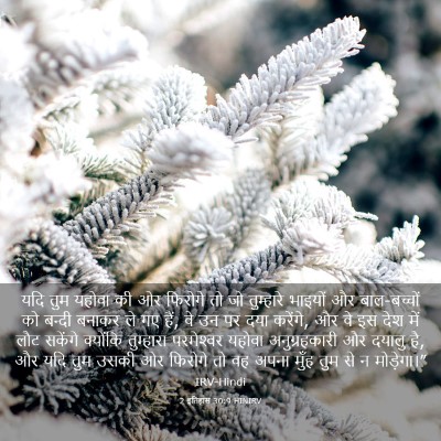 Picture 03 - 2 इतिहास 30:9 HINIRV - यदि तुम यहोवा की ओर - Bible Verse Picture