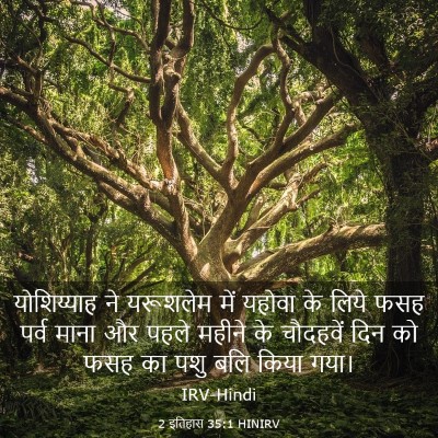 Picture 03 - 2 इतिहास 35:1 HINIRV - योशिय्याह ने - Bible Verse Picture