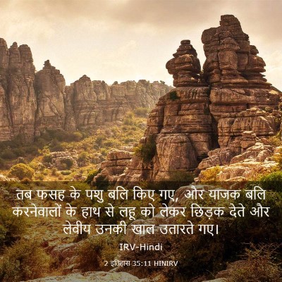 Picture 03 - 2 इतिहास 35:11 HINIRV - तब फसह के पशु बलि - Bible Verse Picture