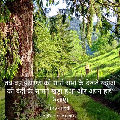Picture 03 - 2 इतिहास 6:12 HINIRV - तब वह इस्राएल की - Bible Verse Picture