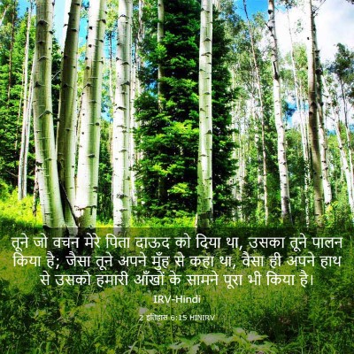 Picture 03 - 2 इतिहास 6:15 HINIRV - तूने जो वचन मेरे - Bible Verse Picture