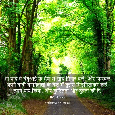Picture 03 - 2 इतिहास 6:37 HINIRV - तो यदि वे बँधुआई के - Bible Verse Picture