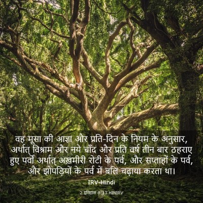 Picture 03 - 2 इतिहास 8:13 HINIRV - वह मूसा की आज्ञा और - Bible Verse Picture