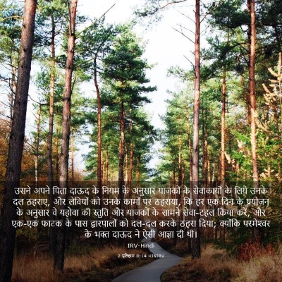 Picture 03 - 2 इतिहास 8:14 HINIRV - उसने अपने पिता - Bible Verse Picture