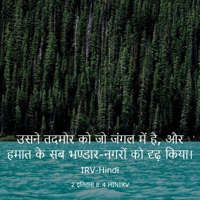 Picture 03 - 2 इतिहास 8:4 HINIRV - उसने तदमोर को जो - Bible Verse Picture