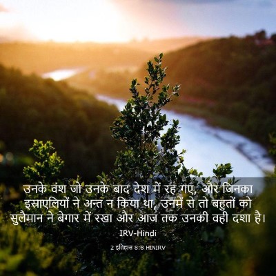 Picture 03 - 2 इतिहास 8:8 HINIRV - उनके वंश जो उनके - Bible Verse Picture