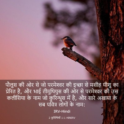 Picture 03 - 2 कुरिन्थियों 1:1 HINIRV - पौलुस की ओर से जो - Bible Verse Picture