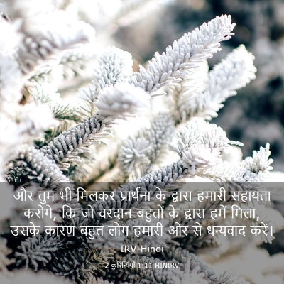 Picture 03 - 2 कुरिन्थियों 1:11 HINIRV - और तुम भी मिलकर - Bible Verse Picture