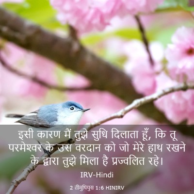 Picture 03 - 2 तीमुथियुस 1:6 HINIRV - इसी कारण मैं तुझे - Bible Verse Picture