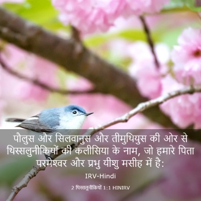 Picture 03 - 2 थिस्सलुनीकियों 1:1 HINIRV - पौलुस और सिलवानुस - Bible Verse Picture