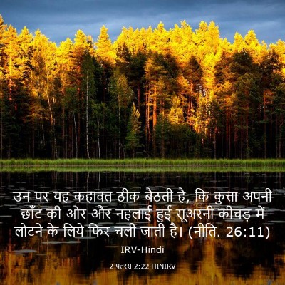 Picture 03 - 2 पतरस 2:22 HINIRV - उन पर यह कहावत ठीक - Bible Verse Picture