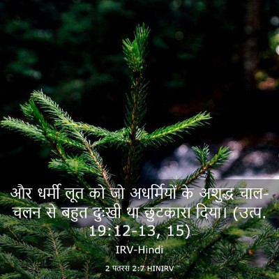 Picture 03 - 2 पतरस 2:7 HINIRV - और धर्मी लूत को जो - Bible Verse Picture