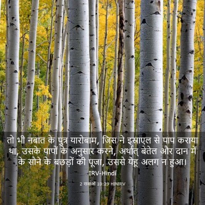 Picture 03 - 2 राजाओं 10:29 HINIRV - तो भी नबात के पुत्र - Bible Verse Picture