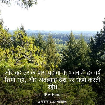Picture 03 - 2 राजाओं 11:3 HINIRV - और वह उसके पास - Bible Verse Picture