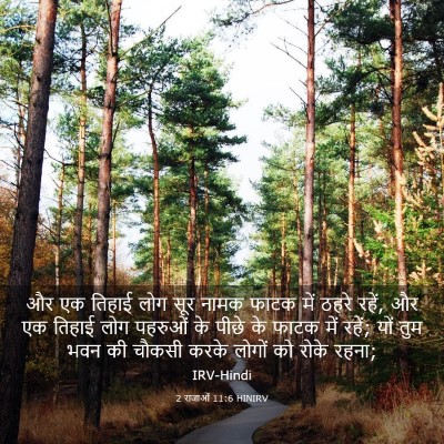 Picture 03 - 2 राजाओं 11:6 HINIRV - और एक तिहाई लोग सूर - Bible Verse Picture