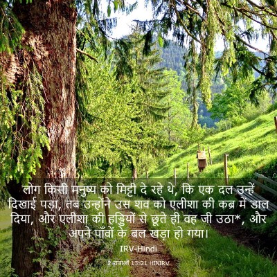 Picture 03 - 2 राजाओं 13:21 HINIRV - लोग किसी मनुष्य को - Bible Verse Picture