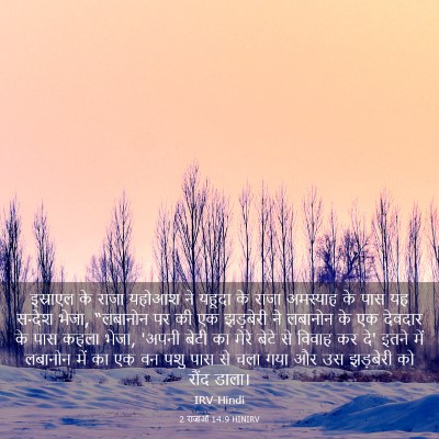 Picture 03 - 2 राजाओं 14:9 HINIRV - इस्राएल के राजा - Bible Verse Picture