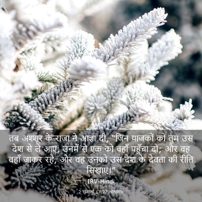 Picture 03 - 2 राजाओं 17:27 HINIRV - तब अश्शूर के राजा - Bible Verse Picture